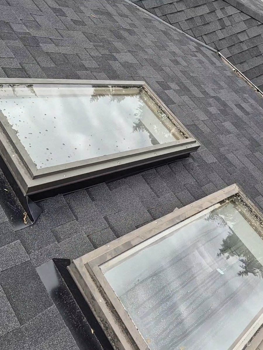 Two skylights set into a gray shingle roof